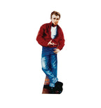 Amazing Dean Ambrose Cutout