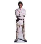 Luke Skywalker Lifesize Cardboard Cutout