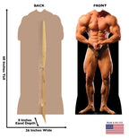 Muscle Man Standin - 2
Lifesize Cardboard Cutout