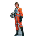 Luke Skywalker Cutout - Rebel Pilot