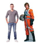 Luke Skywalker Cutout - Rebel Pilot