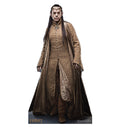 Elrond - The Hobbit
Lifesize Cardboard Cutout