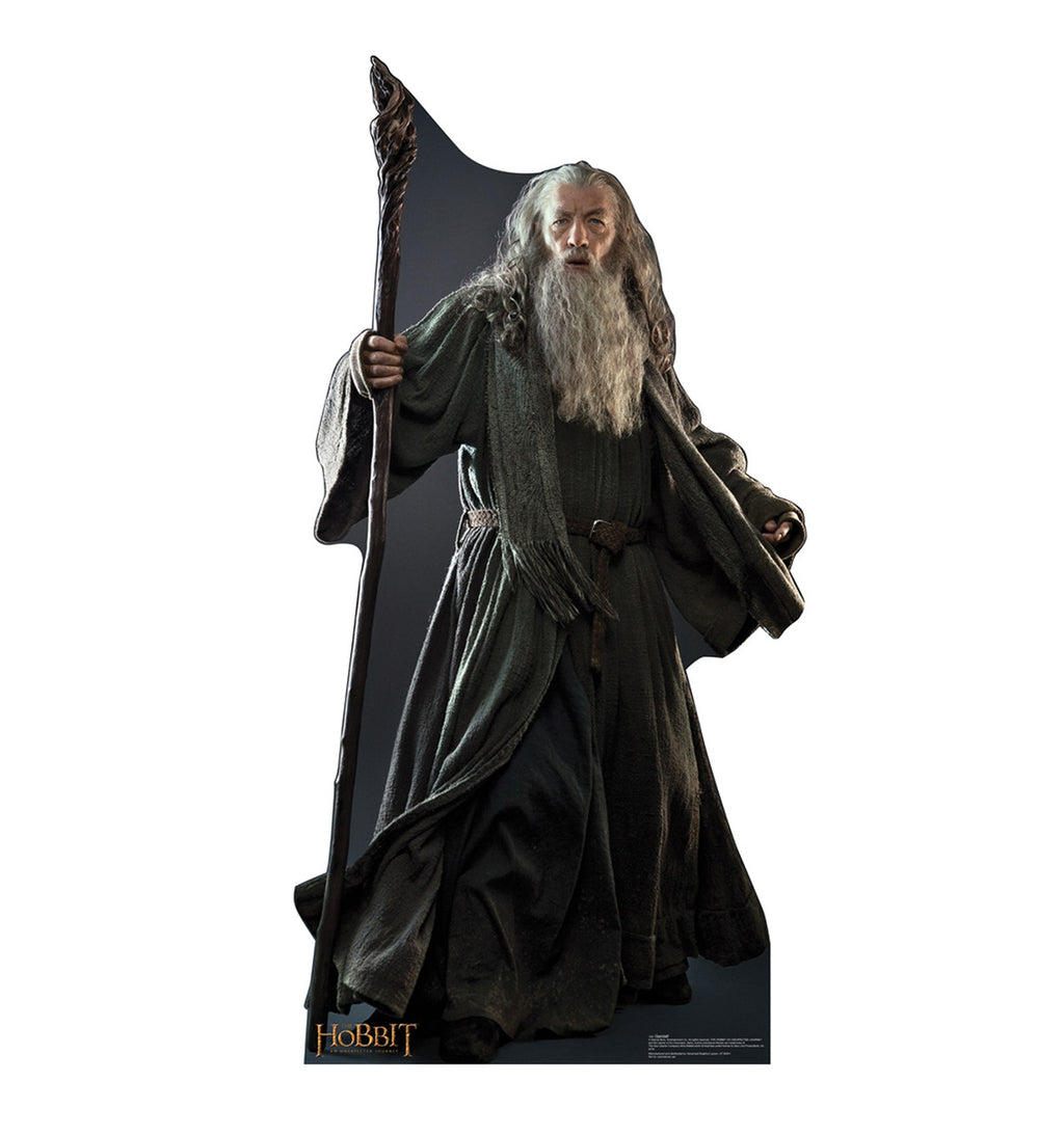 Gandalf Standup for Every Adventure