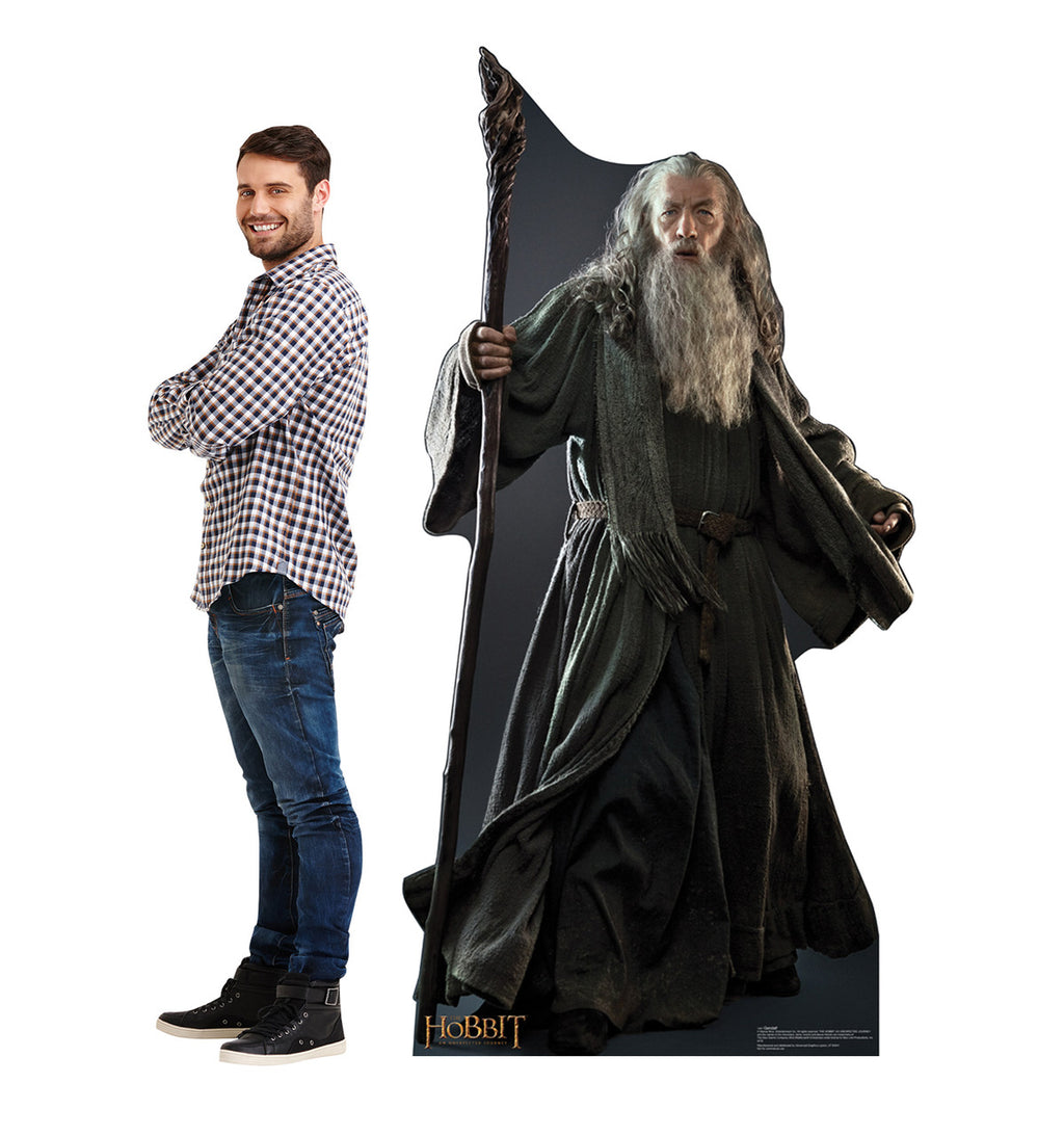 Gandalf Standup for Every Adventure