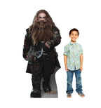 Gloin The Dwarf - The Hobbit
Lifesize Cardboard Cutout with Model