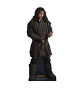 Kili The Dwarf - The Hobbit
Lifesize Cardboard Cutout