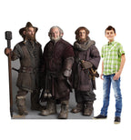 Dwarfs Group - Nori Dori Ori - The Hobbit
Lifesize Cardboard Cutout