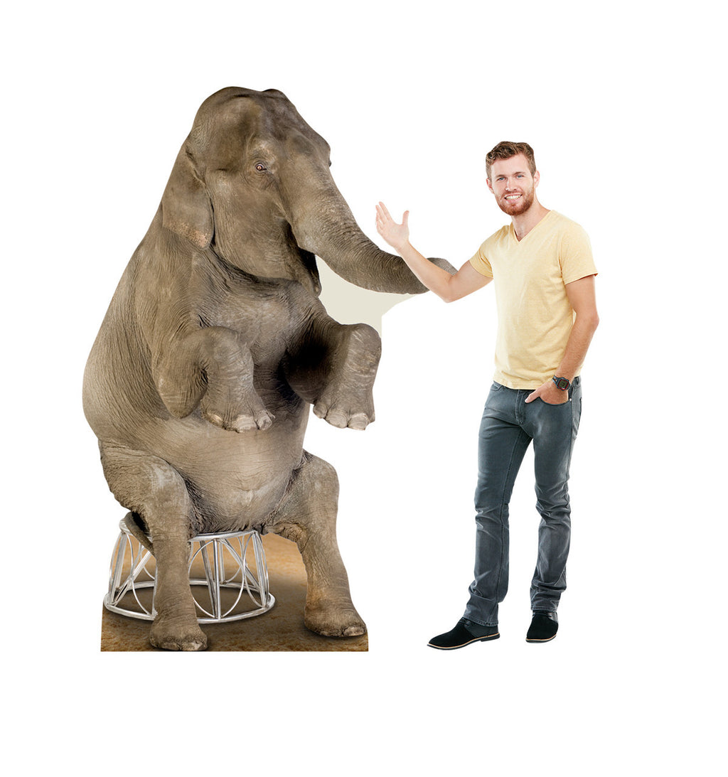 Stunning Asian Elephant Life-Size Cutout
