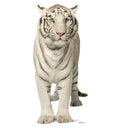 Majestic White Tiger Stand-up Cutout