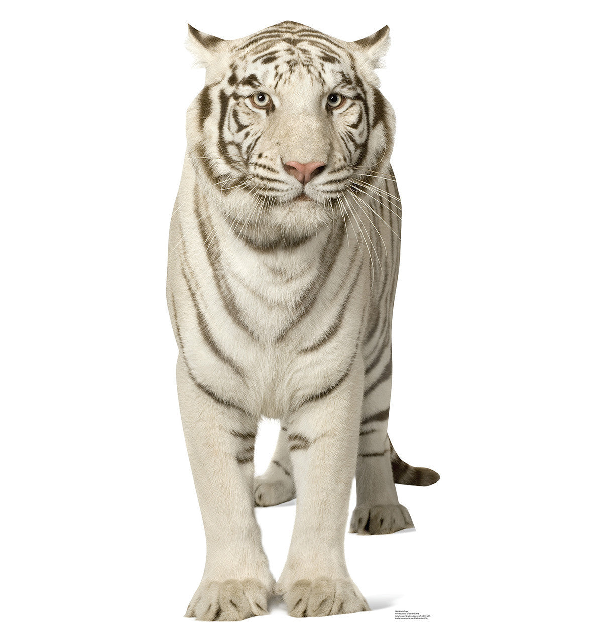 Majestic White Tiger Stand-up Cutout