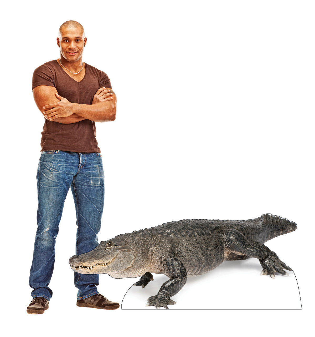 American Alligator
Lifesize Cardboard Cutout  with Model