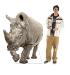White Rhinoceros
Lifesize Cardboard Cutout with Model