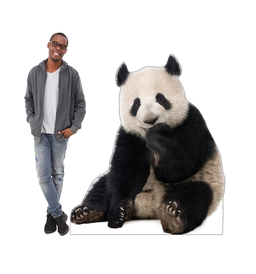 Giant Panda
Lifesize Cardboard Cutout  with Model