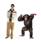 Young Chimpanzee
Lifesize Cardboard Cutout  with model