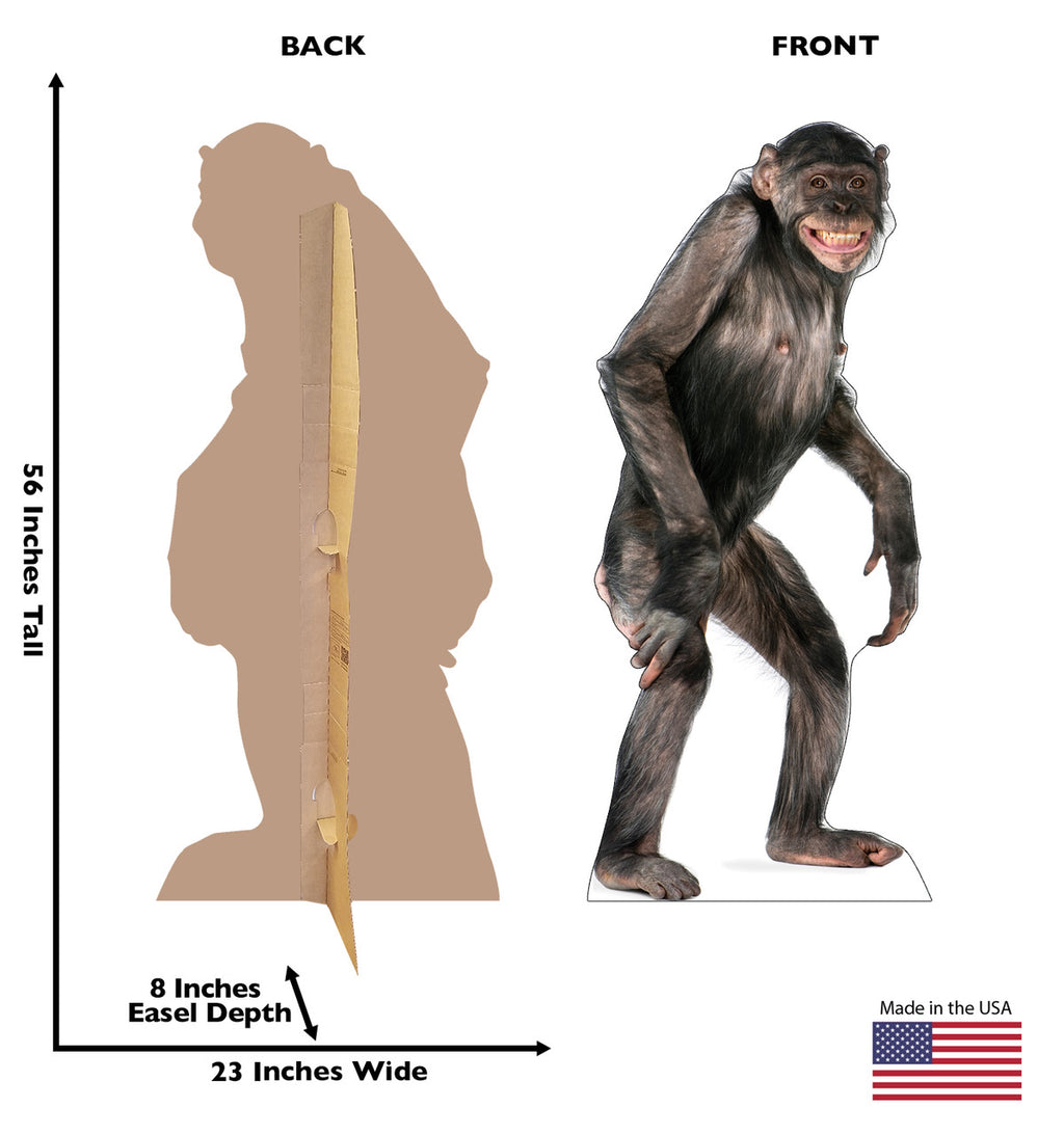 Chimpanzee
Lifesize Cardboard Cutout Dimensions
