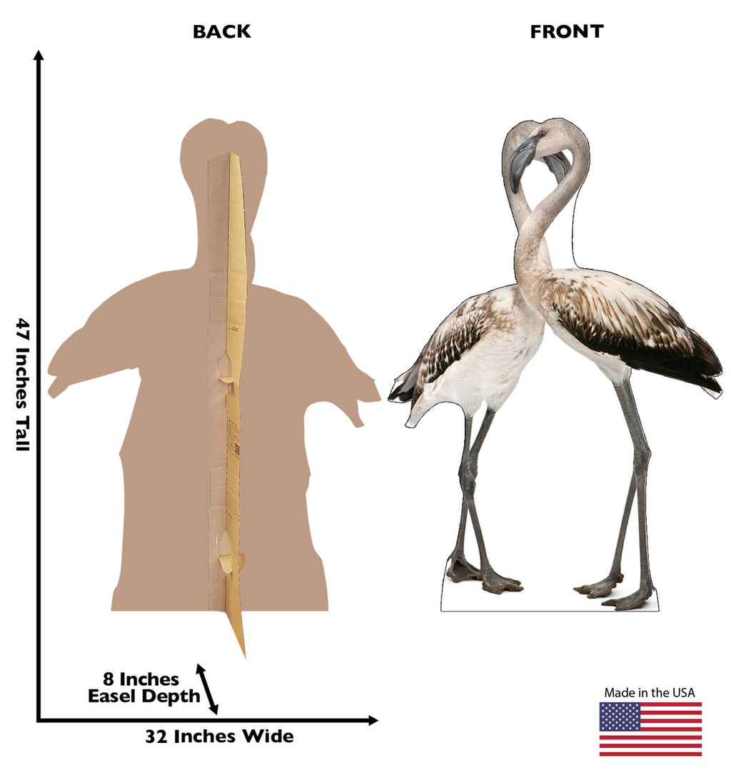 Flamingos - Love Birds
Lifesize Cardboard Cutout Dimensions