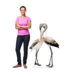 Flamingos - Love Birds
Lifesize Cardboard Cutout with model