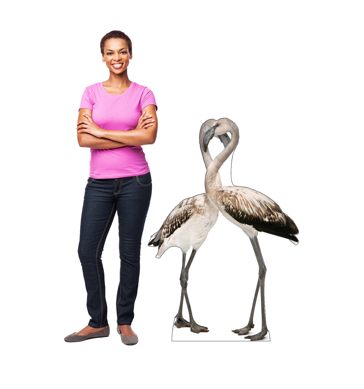 Flamingos - Love Birds
Lifesize Cardboard Cutout with model