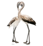 Flamingos - Love Birds
Lifesize Cardboard Cutout