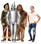 Wizard of Oz Lifesize Trio