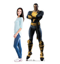 Black Adam - Injustice Gods Among Us
Lifesize Cardboard Cutout