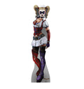 Harley Quinn - Arkham Asylum
Lifesize Cardboard Cutout