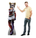 Harley Quinn - Arkham Asylum
Lifesize Cardboard Cutout With Model