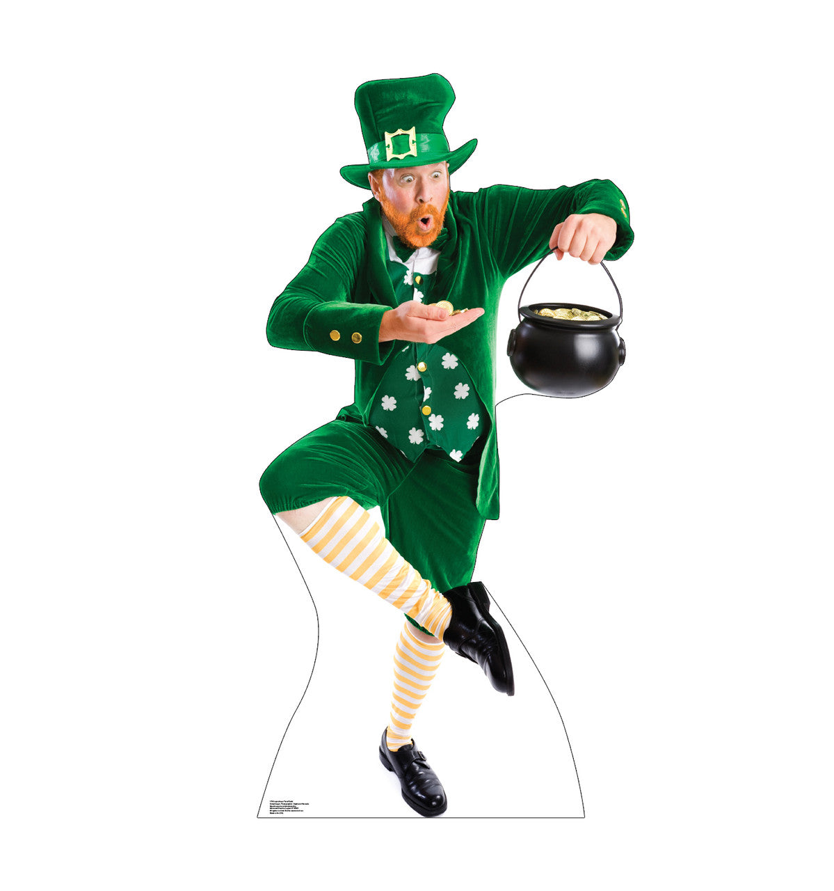 Leprechaun Pot of Gold
Lifesize Cardboard Cutout