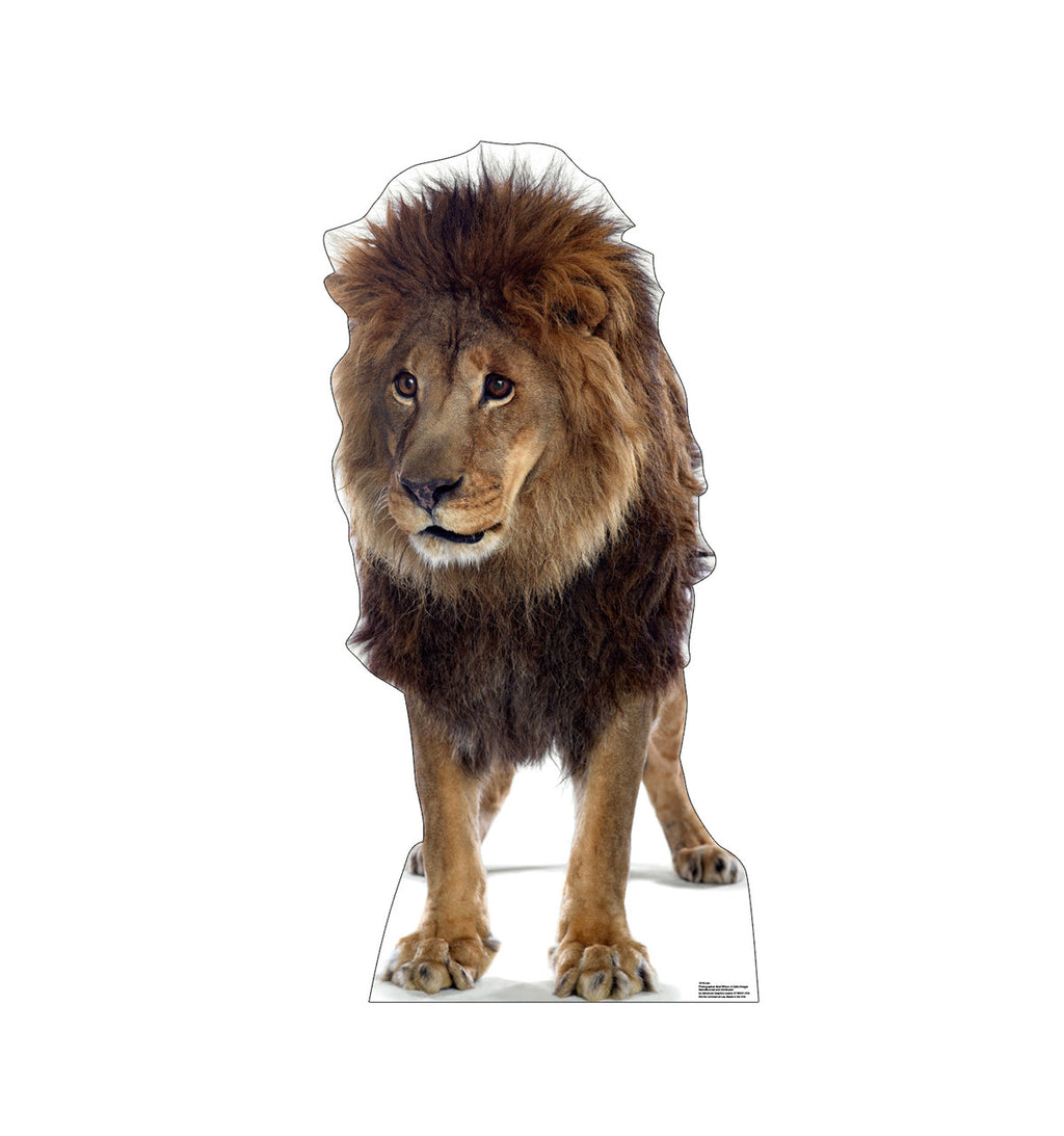 Lion
Lifesize Cardboard Cutout