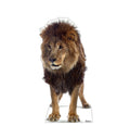 Lion
Lifesize Cardboard Cutout