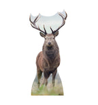 Deer
Lifesize Cardboard Cutout