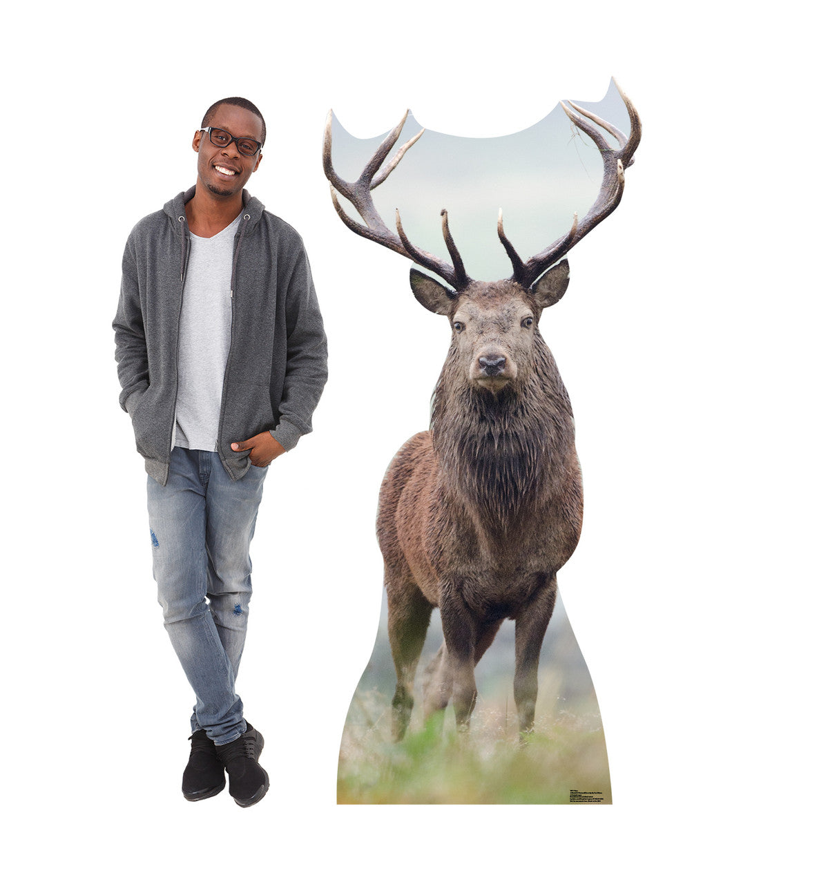 Deer
Lifesize Cardboard Cutout  with Model