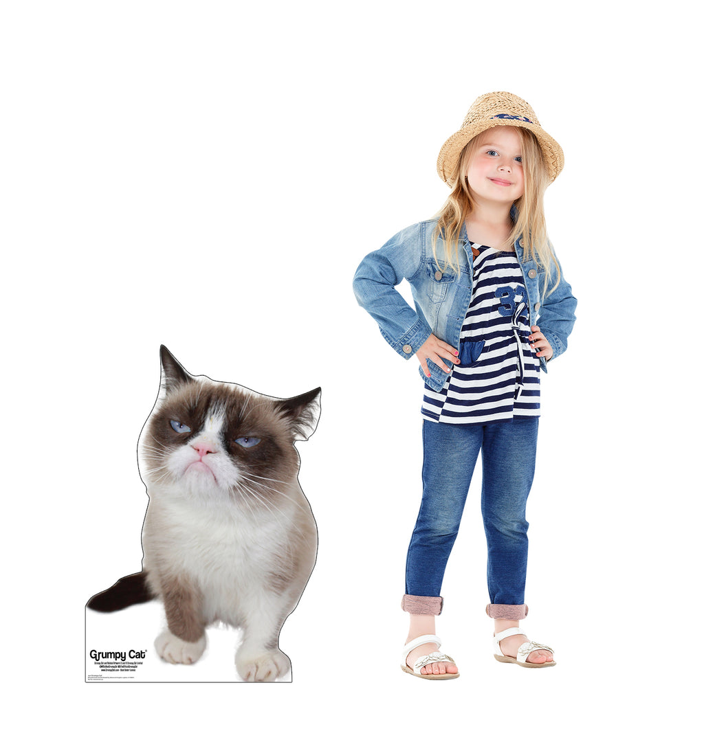 Grumpy Cat