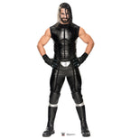 Seth Rollins - WWE
Lifesize Cardboard Cutout 2