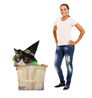Grumpy Cat (halloween)