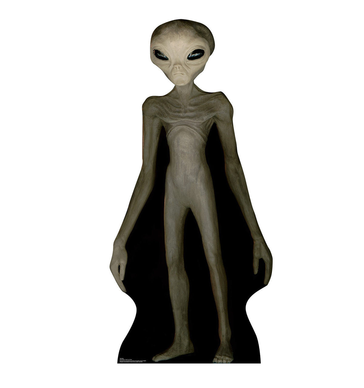 Extraterrestrial Life-Size Cutout