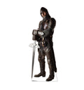 Knight in Armor
Lifesize Cardboard Cutout