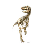 Roaring T-Rex Cardboard Companion