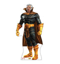Collector - Marvel
Lifesize Cardboard Cutout