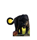 Bagheera - Live Action Jungle Book
Lifesize Cardboard Cutout