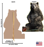 Baloo - Live Action Jungle Book
Lifesize Cardboard Cutout Dimensions