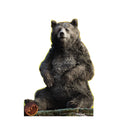 Baloo - Live Action Jungle Book
Lifesize Cardboard Cutout