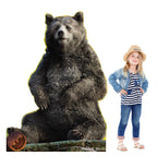 Baloo - Live Action Jungle Book
Lifesize Cardboard Cutout with Model