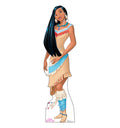 Pocahontas - Disney Princess - Sleeping Beauty - Friendship Adventure
Lifesize Cardboard Cutout