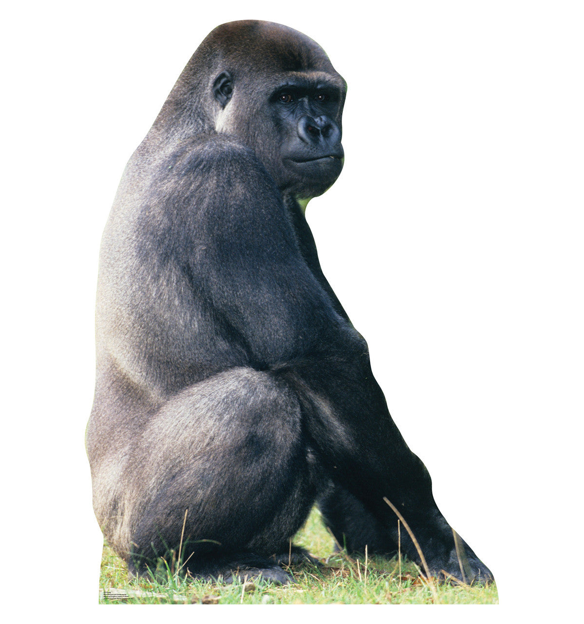Gorilla Standup Cutout