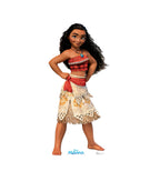 Moana - Disney Princess
Lifesize Cardboard Cutout