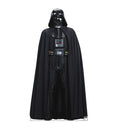 Darth Vader™ - Rogue One -Star Wars
Lifesize Cardboard Cutout