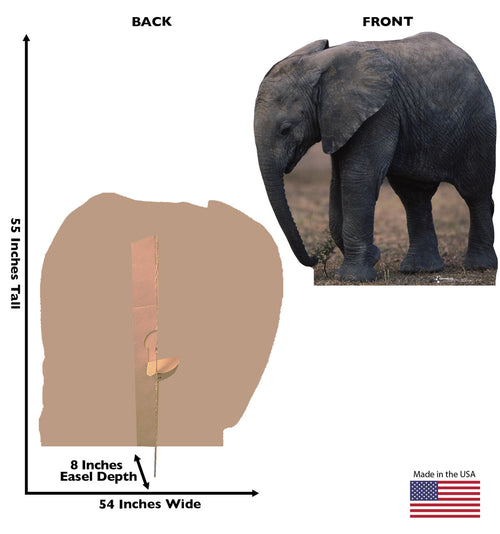 Baby Elephant Lifesize Cardboard Cutout Dimensions