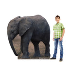 Baby Elephant Lifesize Cardboard Cutout with model