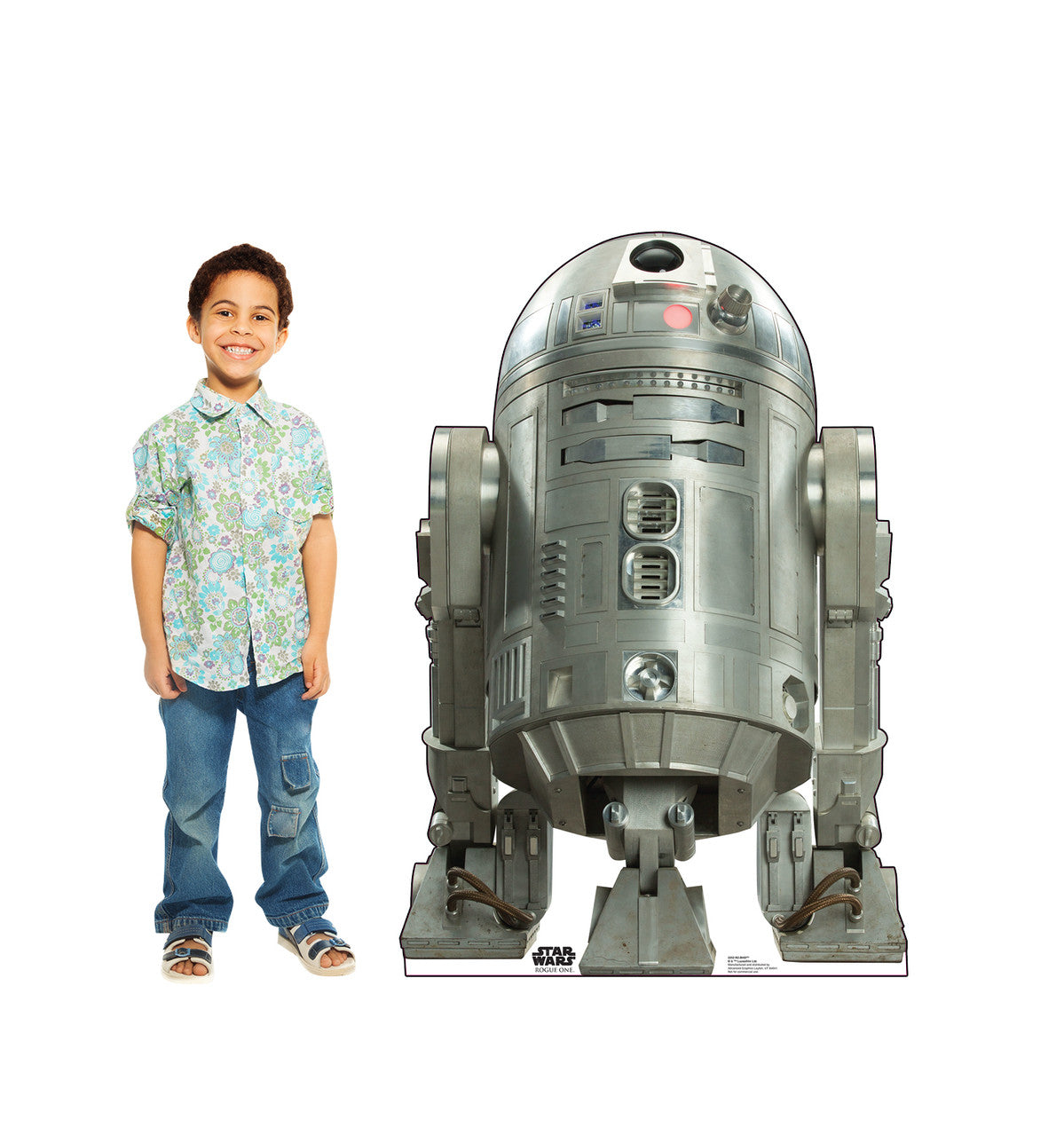 R2-BHD™ - Rogue One - Star Wars
Lifesize Cardboard Cutout with Model